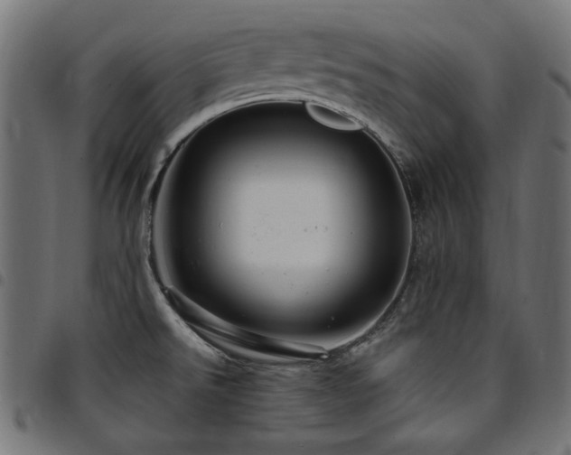 X0000095531526200712141451