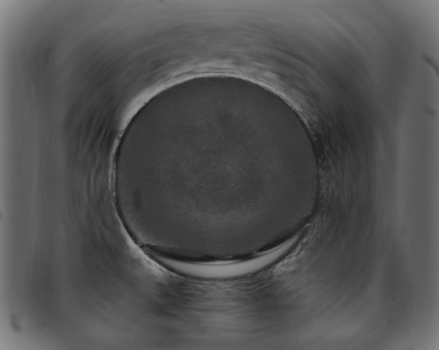 X0000095531527200712141451