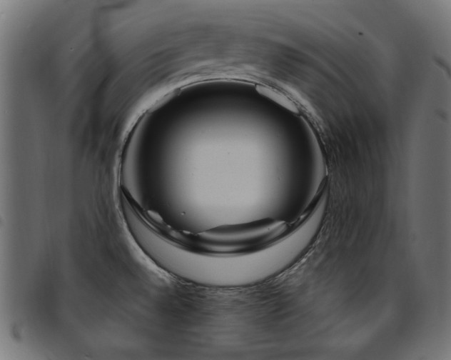 X0000095531528200712141451