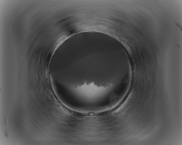 X0000095531529200712141451