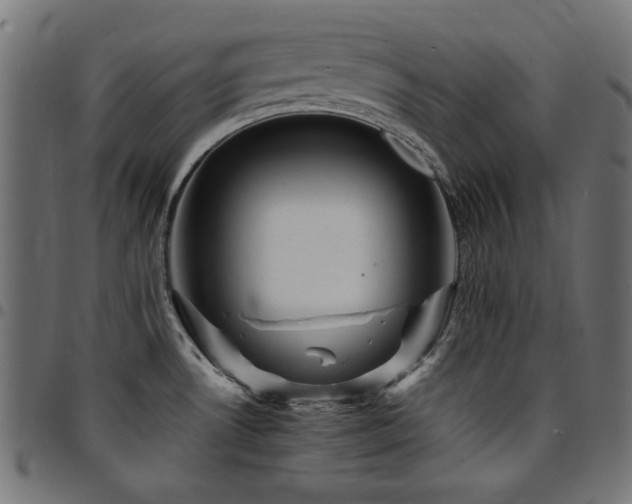 X0000095531530200712141451