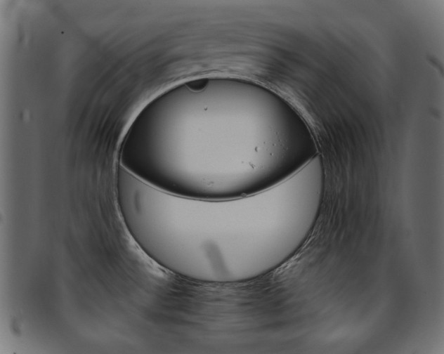 X0000095531532200712141451