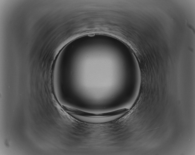 X0000095531534200712141451