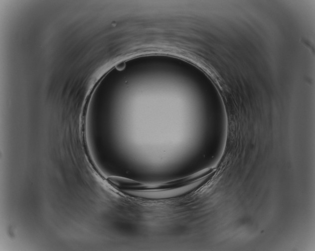 X0000095531535200712141451