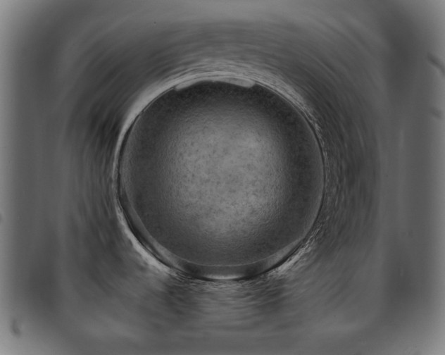 X0000095531536200712141451