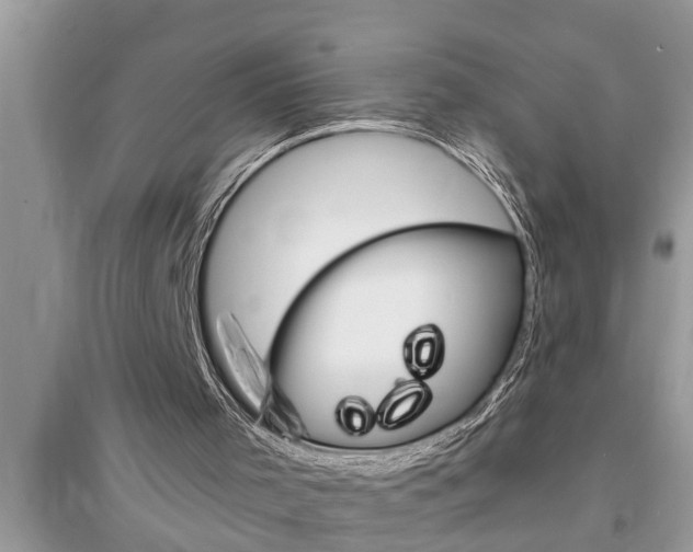 X0000095530001200712211336