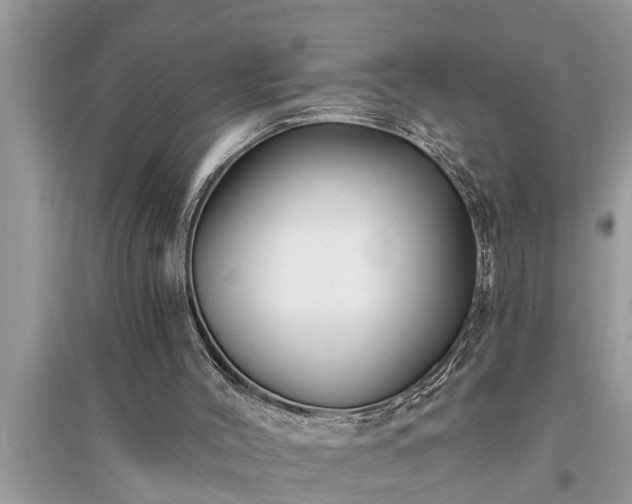 X0000095530004200712211336