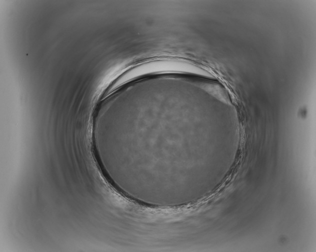 X0000095530005200712211336