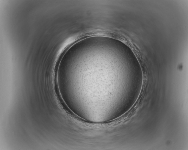 X0000095530006200712211336
