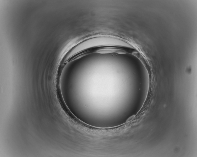 X0000095530007200712211336
