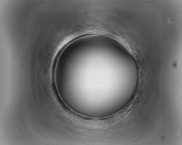 X0000095530008200712211336