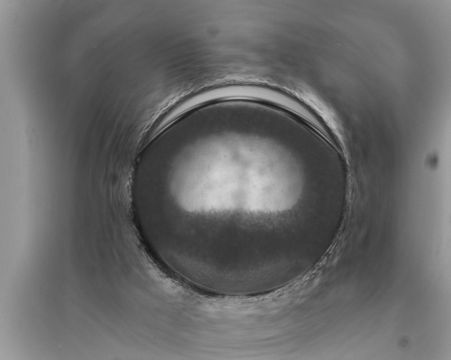X0000095530009200712211336
