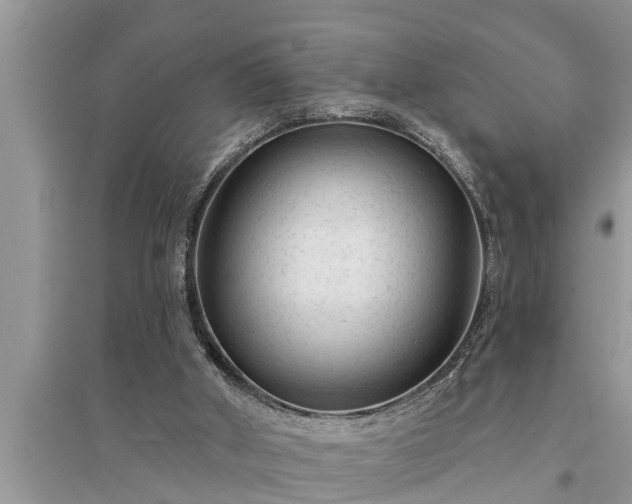 X0000095530010200712211336