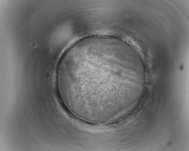 X0000095530012200712211336