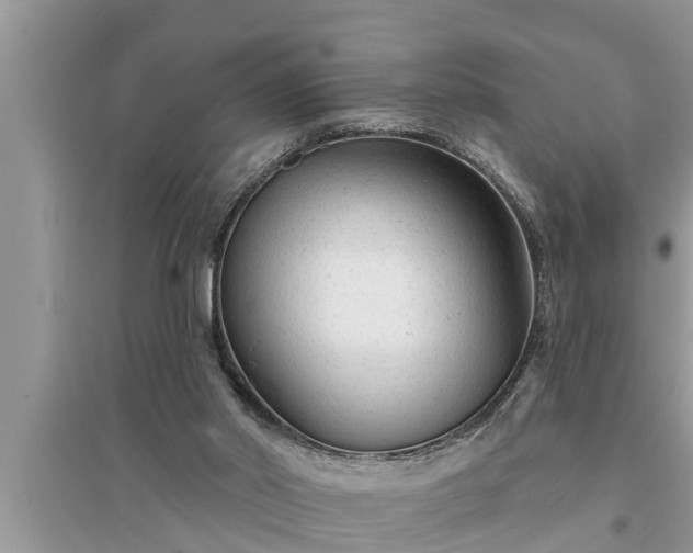 X0000095530014200712211336