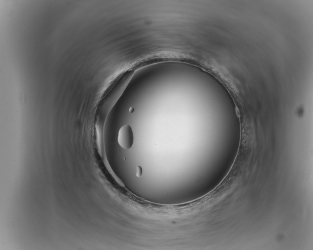 X0000095530015200712211336