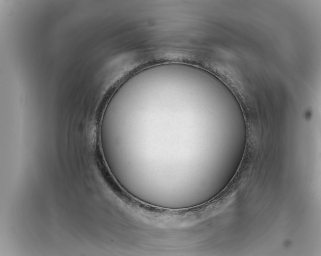 X0000095530016200712211336