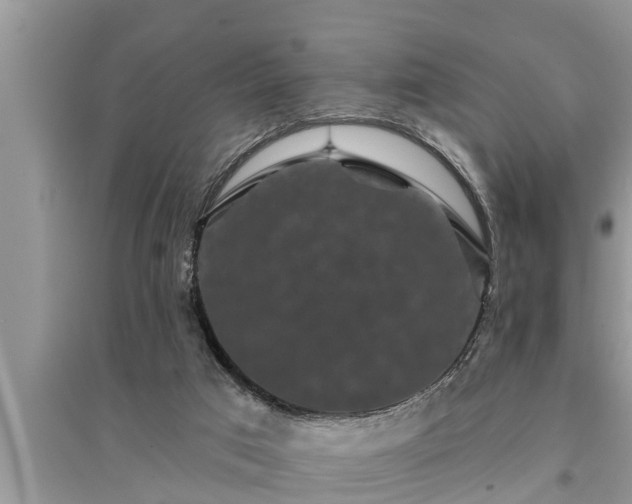 X0000095530017200712211335