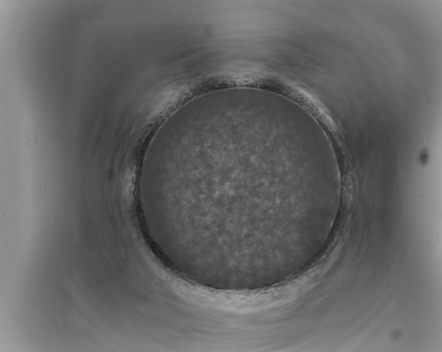 X0000095530018200712211335