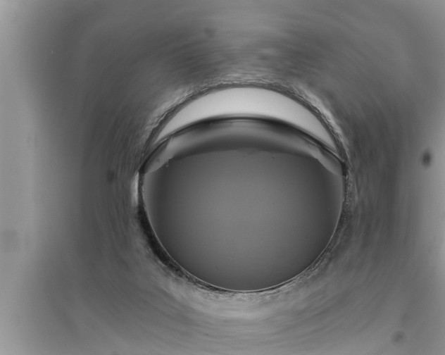 X0000095530019200712211335