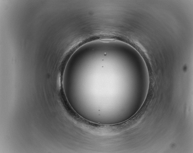 X0000095530020200712211335