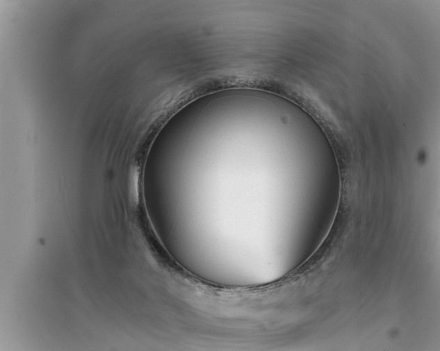 X0000095530022200712211335