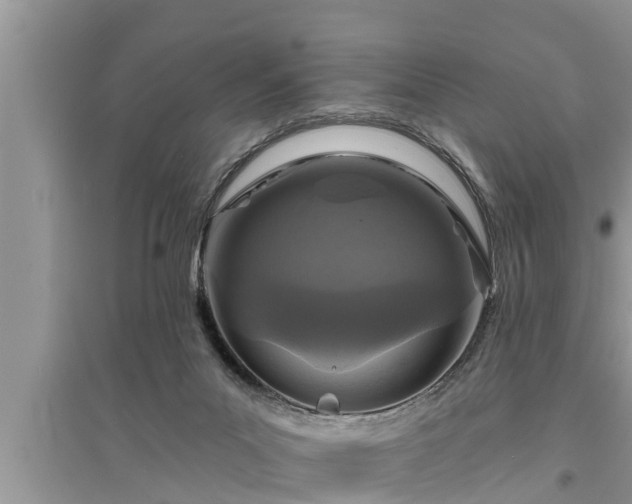 X0000095530023200712211335