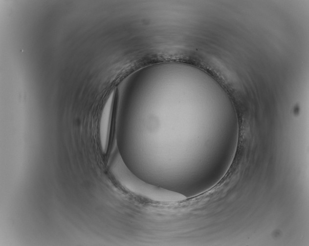 X0000095530025200712211335