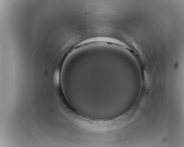 X0000095530027200712211335