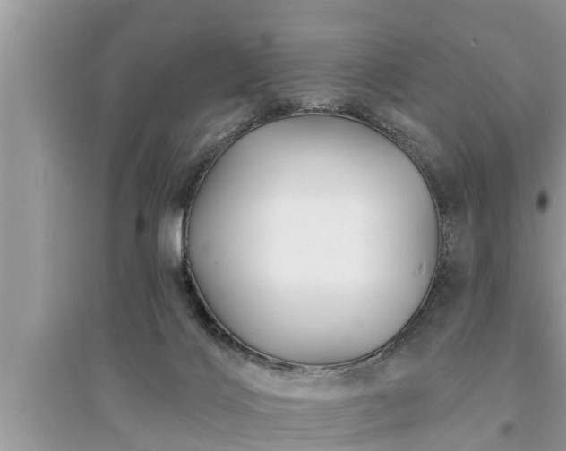 X0000095530028200712211335