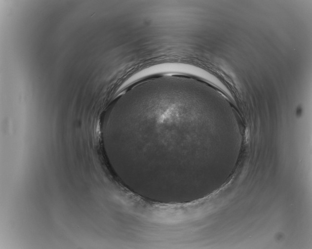 X0000095530029200712211335