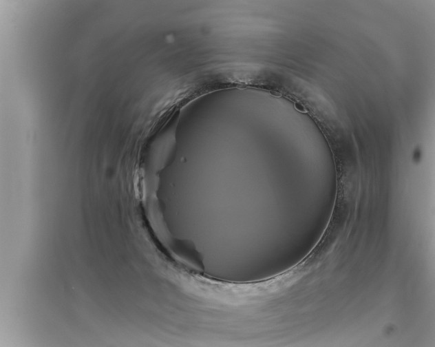 X0000095530031200712211335