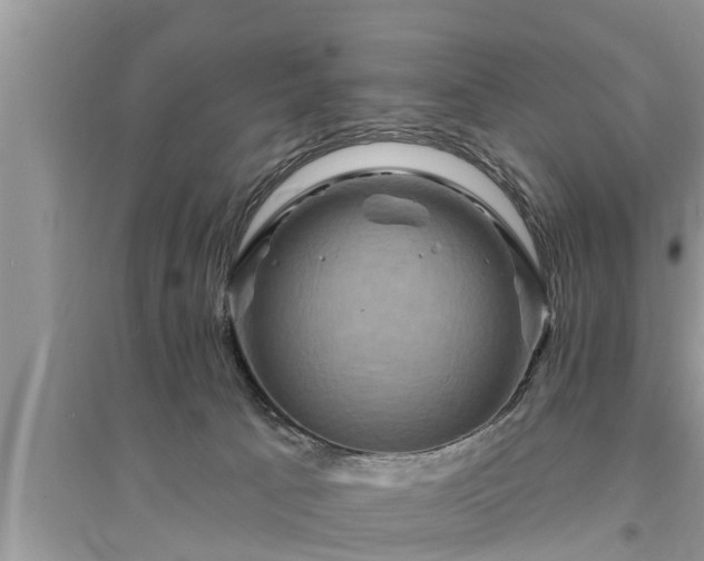 X0000095530033200712211335