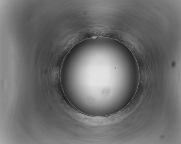 X0000095530034200712211335