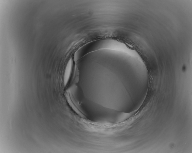 X0000095530035200712211335