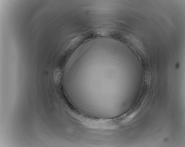 X0000095530036200712211335