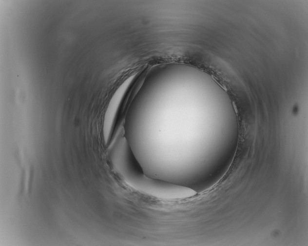 X0000095530037200712211335