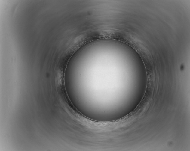 X0000095530038200712211335