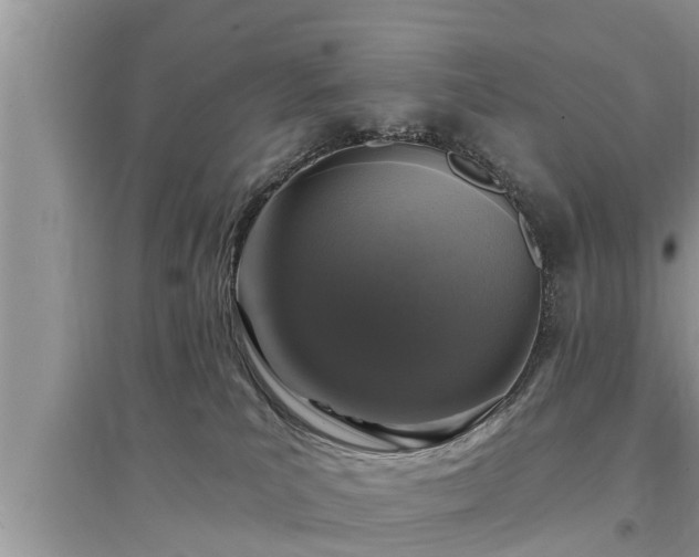 X0000095530039200712211335