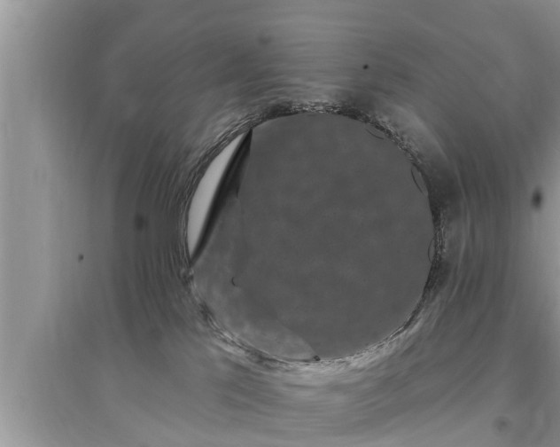 X0000095530041200712211335