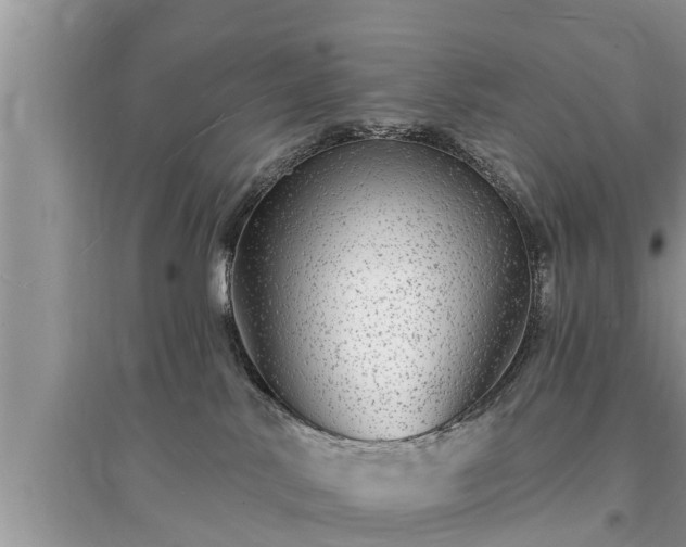 X0000095530042200712211335