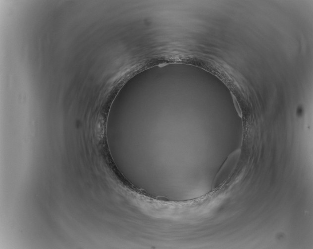 X0000095530043200712211335