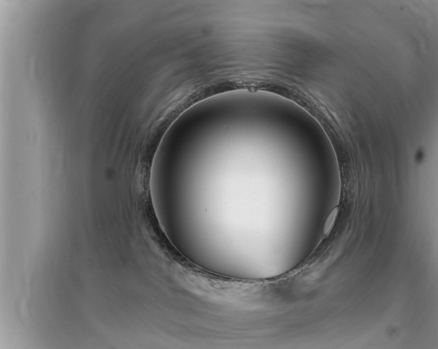 X0000095530044200712211335