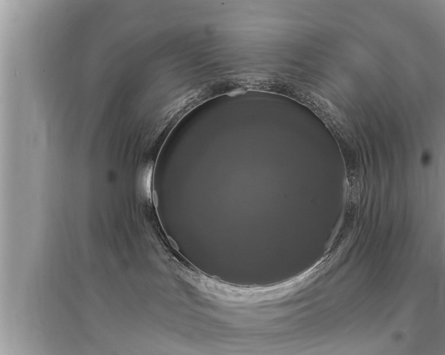 X0000095530047200712211335