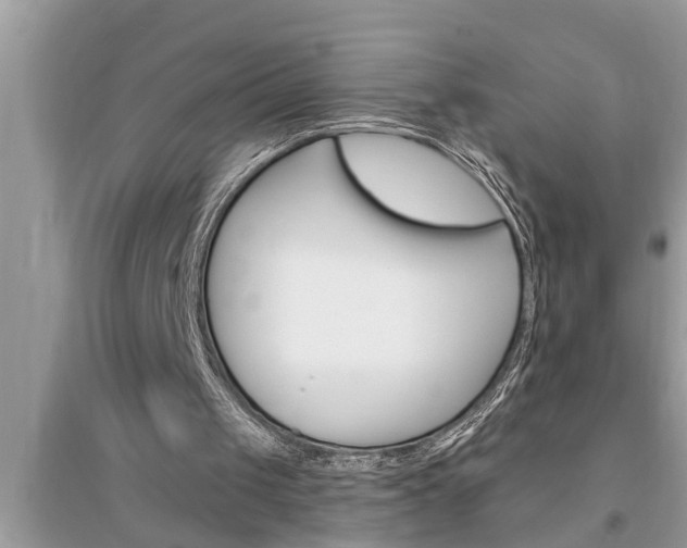 X0000095530049200712211334