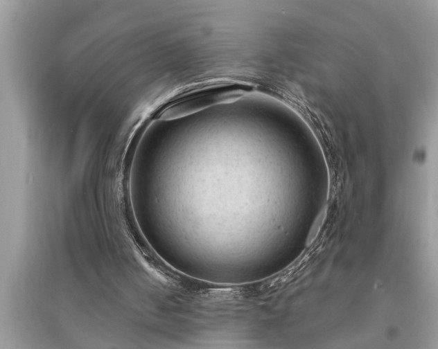 X0000095530050200712211334