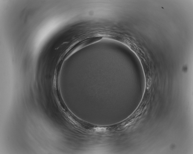 X0000095530052200712211334