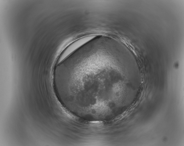 X0000095530053200712211334