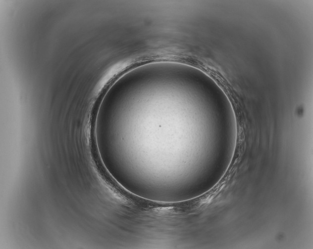 X0000095530054200712211334
