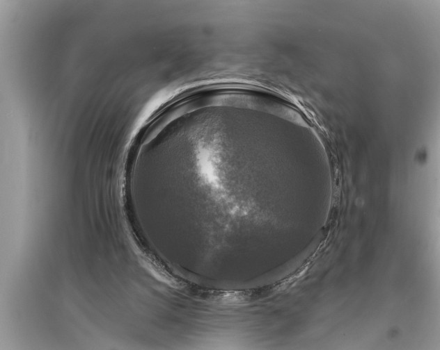 X0000095530056200712211334